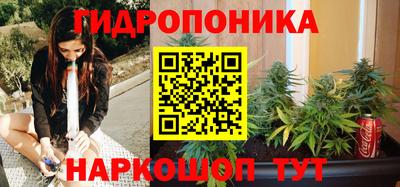 индика Рузаевка