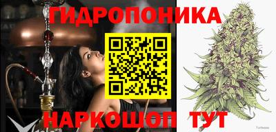 стафф Рязань