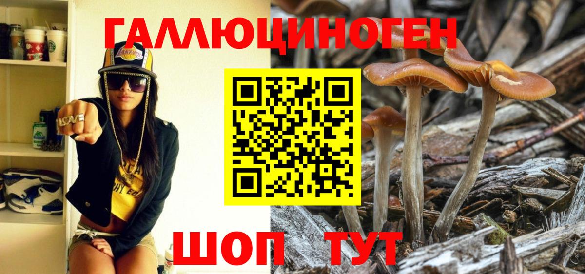 цены наркотик  Галлюциногенные грибы Psilocybine cubensis  Вход с VPN  Севастополь 